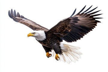 Fototapeta premium A flat 2D illustration of an American eagle flying with the U.S. flag draped behind it, set on a plain white backdrop