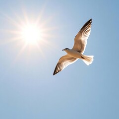 Fototapeta premium A lone bird soaring in the sky under intense sunlight, wings illuminated against a clear backdrop, bird sunlight, freedom and grace
