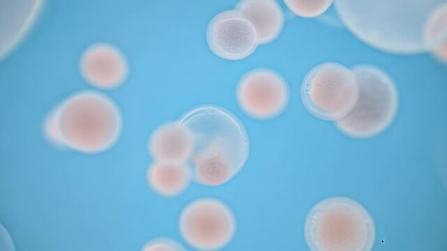 Biological cells floating in laboratory glass