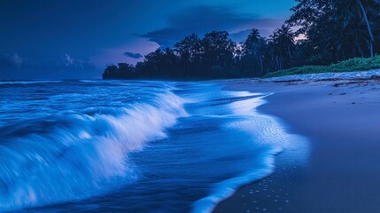 Serene Night Waves on a Tropical Beach