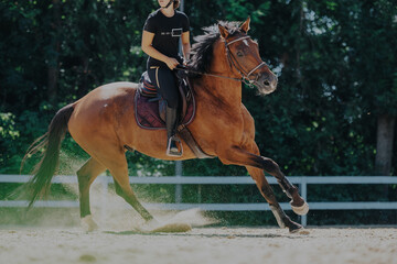 A rider skillfully maneuvers a galloping horse in an outdoor arena, creating a dynamic and...