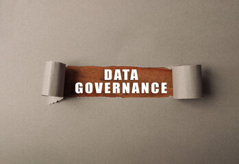 Data governance is the management of data in an organization