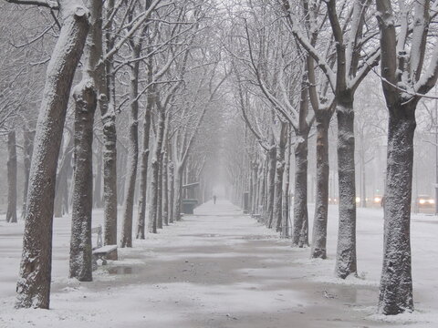Champs Elys&eacute;es Avenue - Snow in Paris
