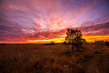 Autumn sunset in Saskatchewan