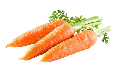 Fresh Carrots on Transparent Background for Recipes