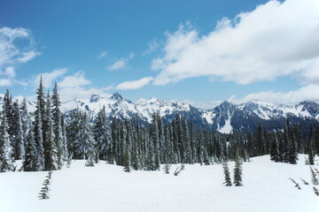 snow covered mountains