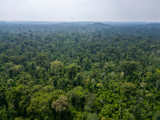 Aerial view of an area of untouched brazilian Amazon rainforest captured by drone
