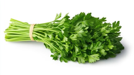 Fresh Parsley Bundle on White Surface