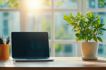 Minimalist Workspace with Laptop and Plant