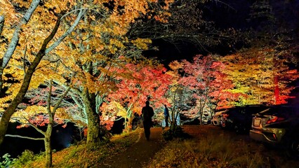 ライトアップされた蓼科湖の紅葉