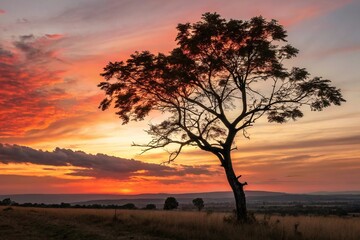 Rowan tree standing against a warm sunset background with vibrant oranges and reds, rowan tree, warm glow, nature