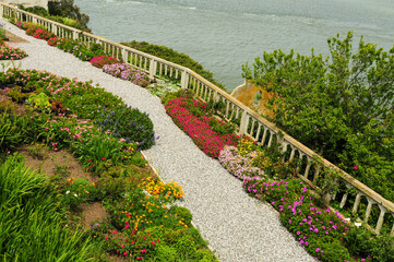 Garden with vibrant flowers and gravel path by San Francisco Bay.