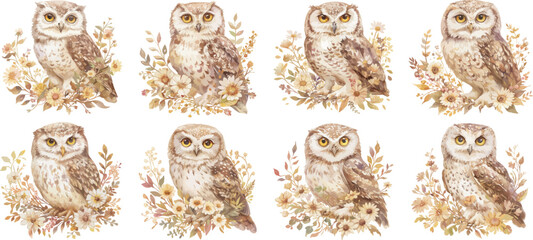owl watercolor clipart