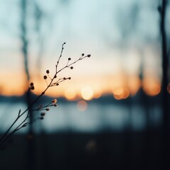 silhouette of branches against a colorful sunset