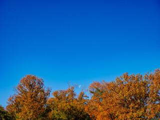 Fototapeta premium 青空と白い月