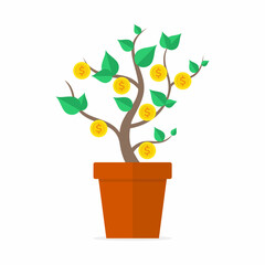 Money tree. Financial growth concept.