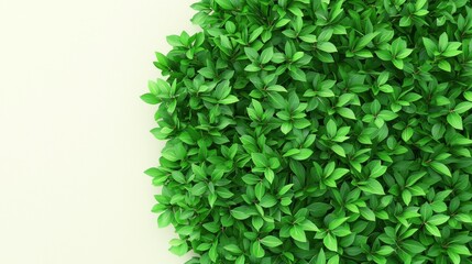 Vibrant Green Foliage Natural Environment Plant Close-Up Serenity Nature Botanical Exploration