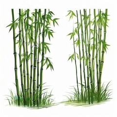 Obraz premium Vibrant Green Bamboo Stalks, the AI Image Generator,