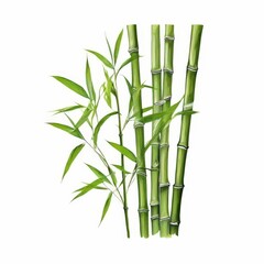 Vibrant Green Bamboo Stalks, the AI Image Generator,