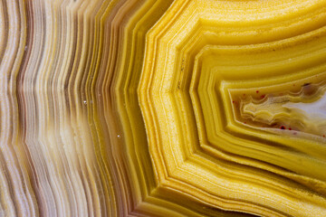 USA, Washington State, Sammamish. Close-up banded agate