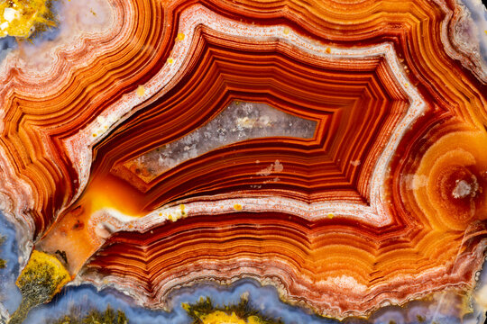 USA, Washington State, Sammamish. Close-up of Laguna Mexican Banded Agate