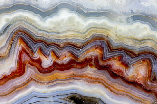 USA, Washington State, Sammamish. Close-up of crazy Mexican Agate