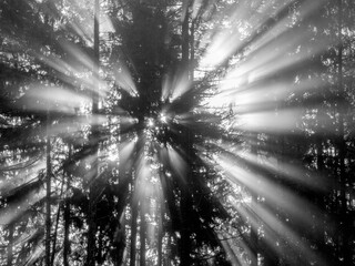 Washington State, Central Cascades. South Bessemer Mountain, sunrays in the morning