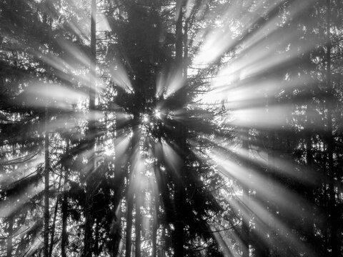 Washington State, Central Cascades. South Bessemer Mountain, sunrays in the morning