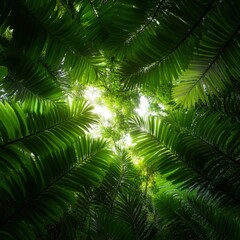 lush green foliage viewed from below with sunlight filtering through