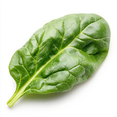 Obraz premium Fresh spinach leaf with vibrant green color and smooth texture, perfect for healthy dishes and salads. Its rich nutrients make it popular choice for cooking and nutrition