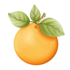 Cute orange watercolor illustration 