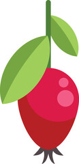 Minimalist vector illustration of a ripe rosehip berry hanging from its stem with two leaves, isolated on white background