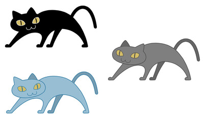 Fototapeta premium cat