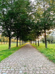 A path lined with trees and a brick walkway
