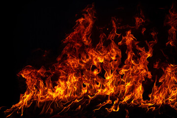 Fototapeta premium Fire flame burning and fire glowing on black background.