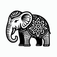 Fototapeta premium elephant