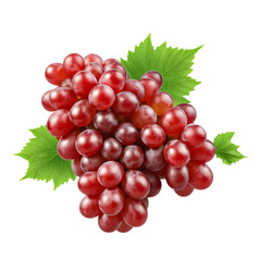 Fototapeta premium Set of ripe whole grapes fruit