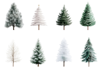A collection of watercolor Christmas trees displays diverse styles, including frosted and white trees, perfect for seasonal decorations and designs