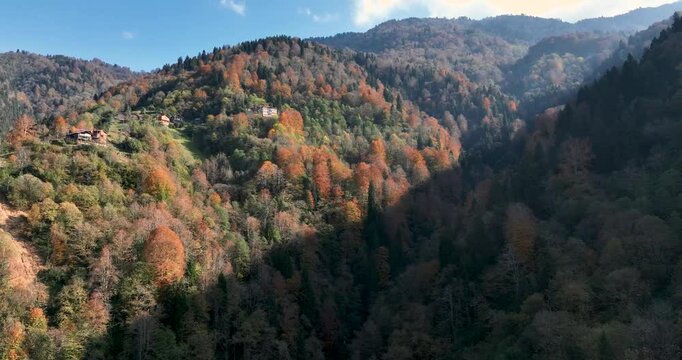 autumn landscape in the mountains