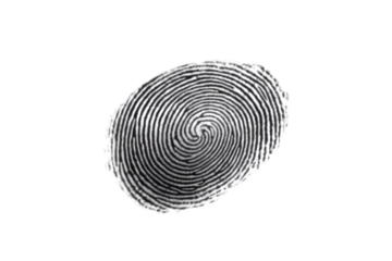 This isolated black ink fingerprint displays intricate patterns and whorls against a white backdrop, emphasizing its unique features and details for analysis