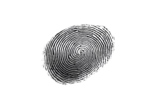 This isolated black ink fingerprint displays intricate patterns and whorls against a white backdrop, emphasizing its unique features and details for analysis