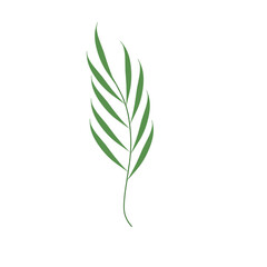 Simple hand drawn green leaf illustration 