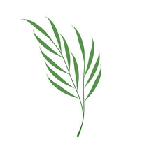 Simple hand drawn green leaf illustration 