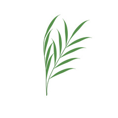 Obraz premium Simple hand drawn green leaf illustration 