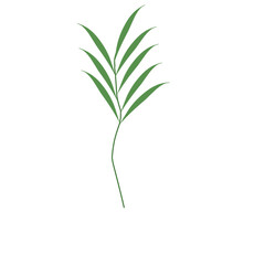Simple hand drawn green leaf illustration 