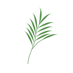 Simple hand drawn green leaf illustration 