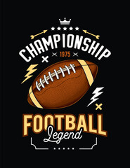 American football club emblem. Original vector illustration in vintage style. T-shirt design.