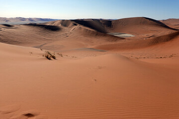 Naukluft Park of Sossusvlei, Namibia