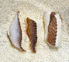 焼いた鯛の切身を白米にのせて炊飯器で作る鯛めし