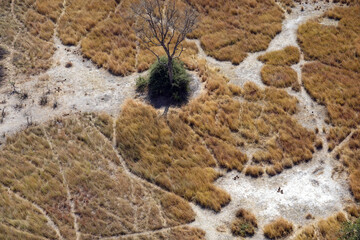 Okavango Delta in Maun, Botswana